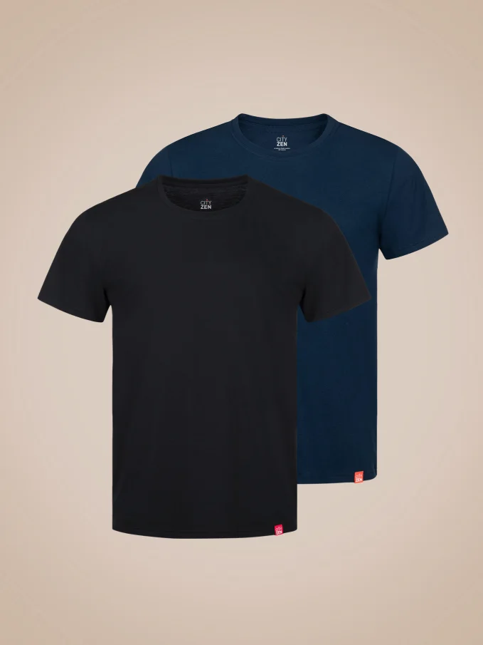 AGEN Výhodná sada 2 pánských triček černá, navy 3XL